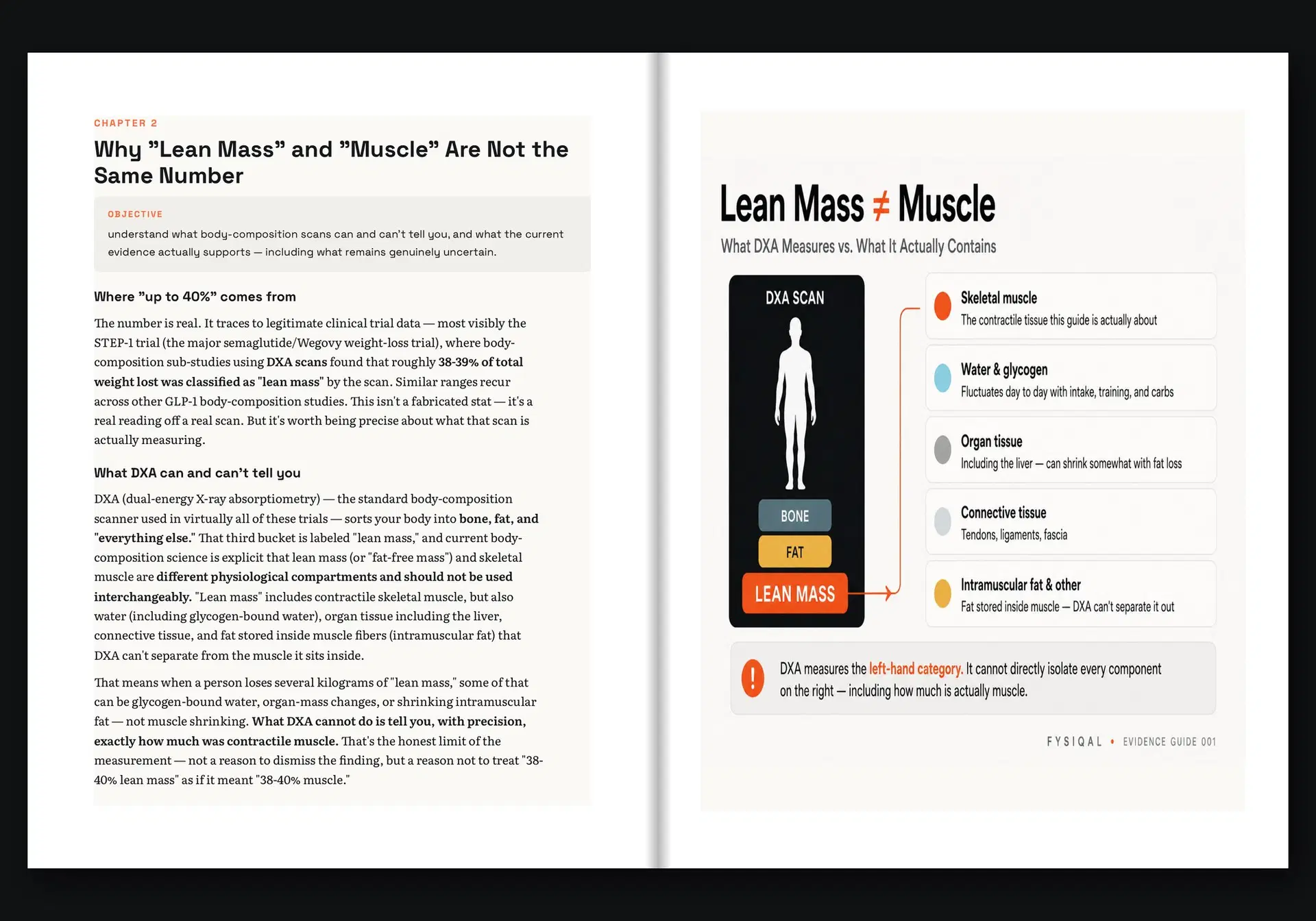 Pages from Keep the Muscle: Chapter 2: what a body-composition scan can and can’t tell you
